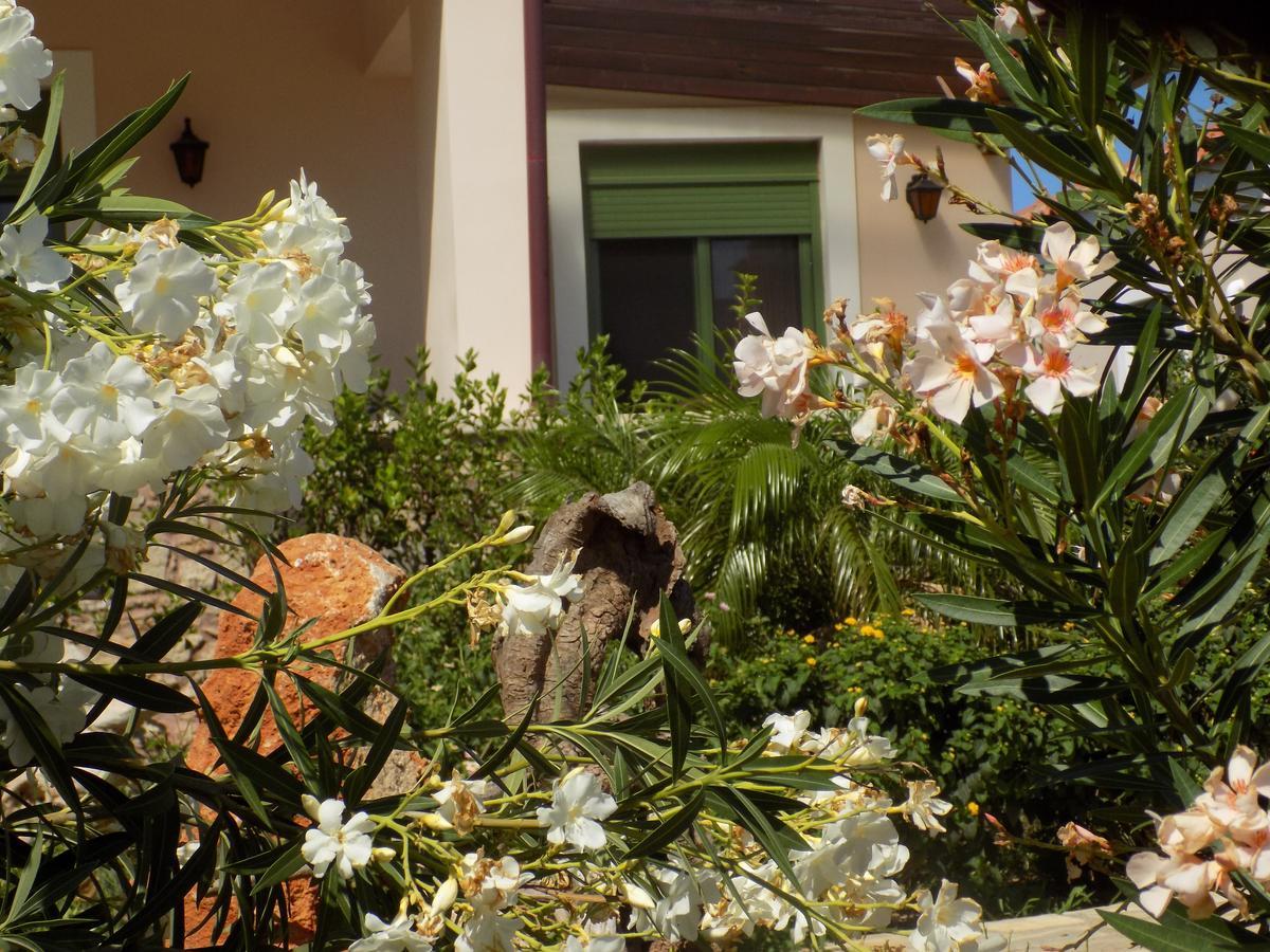 Alkionides Villas Xerokampos  Exterior photo
